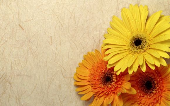 云南芒市海拔多少米