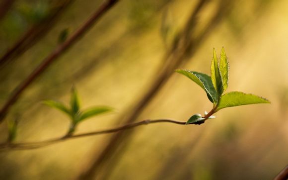 25年珠海航展什么时间