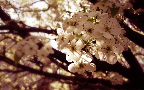 冬天密云有什么好玩的景点推荐