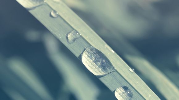 中国著名的民居建筑