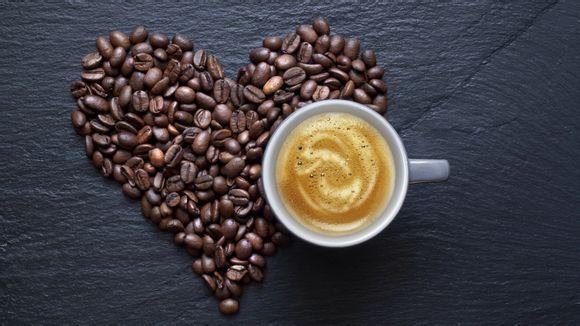 云居寺门票价格表