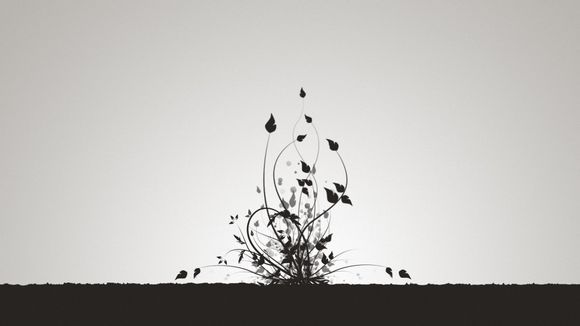 烟台大南山爬山路线