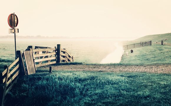 三门峡为什么被称为天鹅之城呢