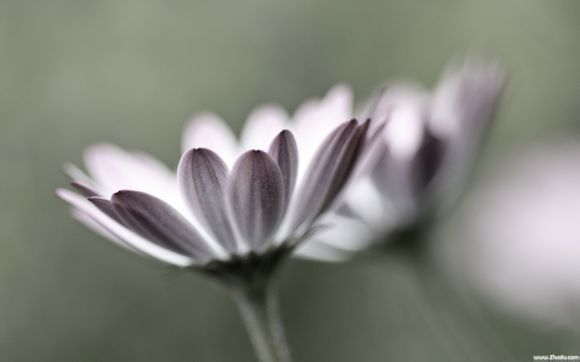 巴厘岛在印度吗