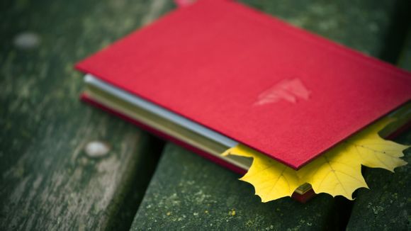 永定土楼那个地方最好玩