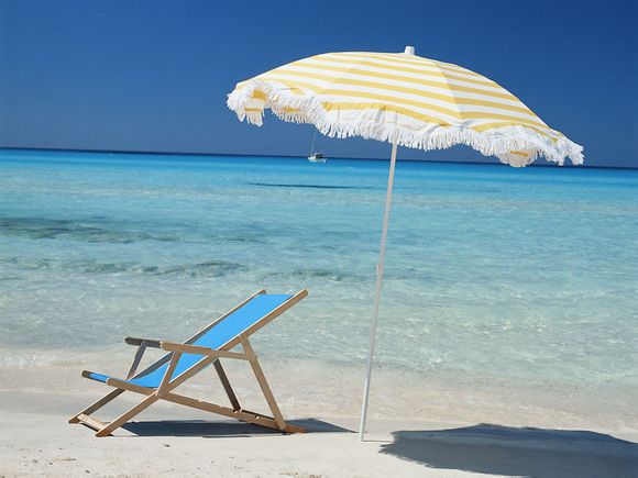 海狮表演的节目名称