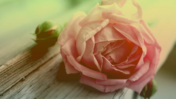 京娘湖在什么地方