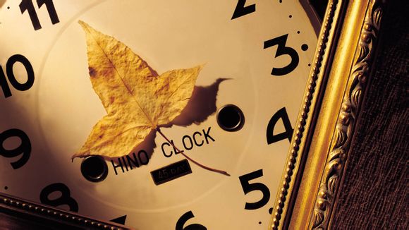 六人游定制旅游介绍