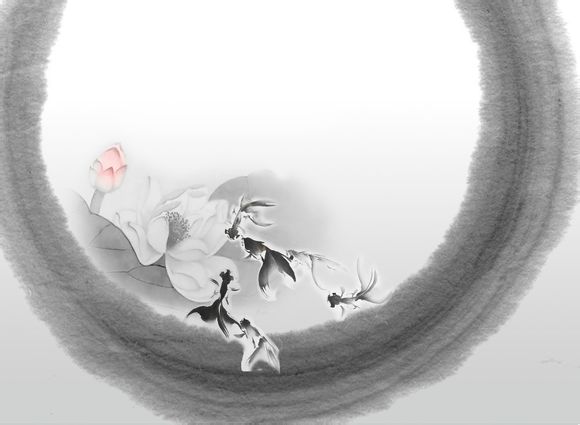 去昆大丽该带些什么