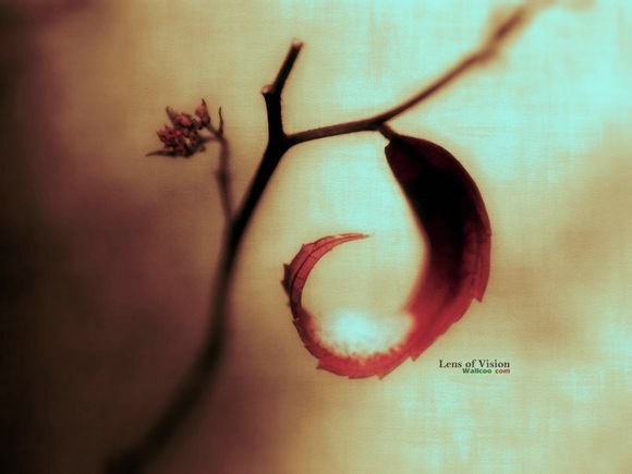 萍乡武功山门票价格查询