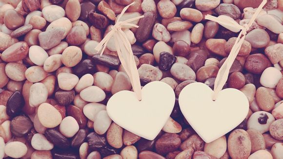 奉贤海湾森林公园在哪里