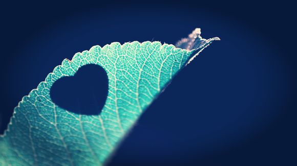 北京科技馆好看吗