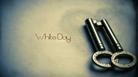 开车去北戴河需要办什么证件吗