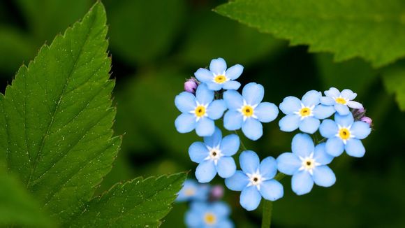 中国有名音乐节