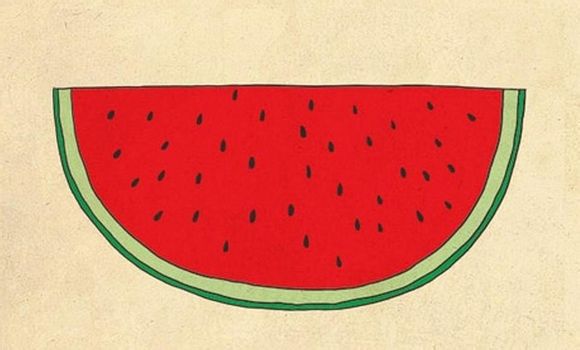 云南省哪些城市在地震带上