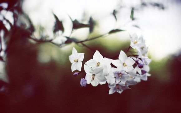 鸟巢是不是我国最大的体育馆