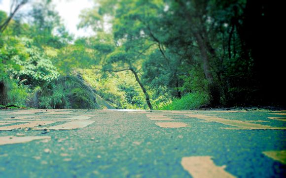 世界第一人口大国是哪个国家2019