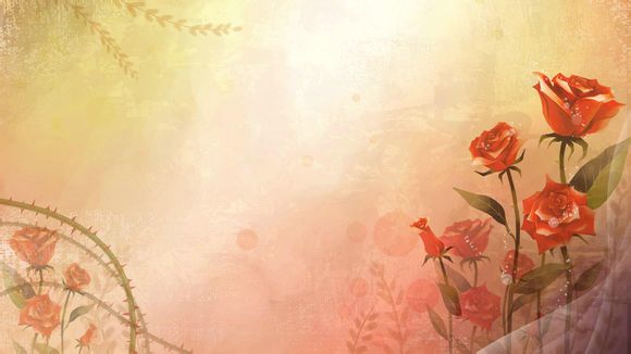 杭州乐园年卡可以几个人用