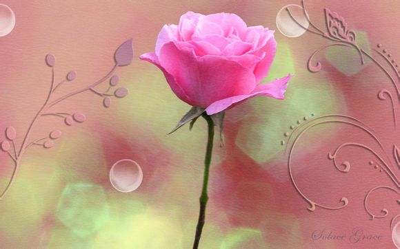 现在可以去尼泊尔旅游吗最近