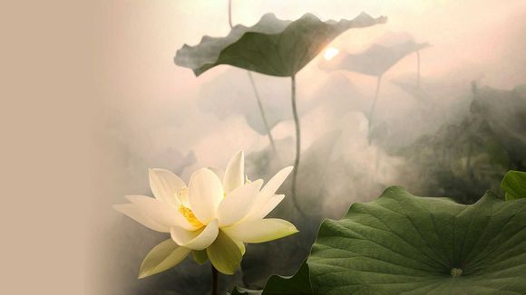 日喀则一日游最佳方案