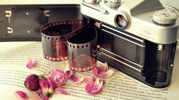 河北沧州有什么好玩的