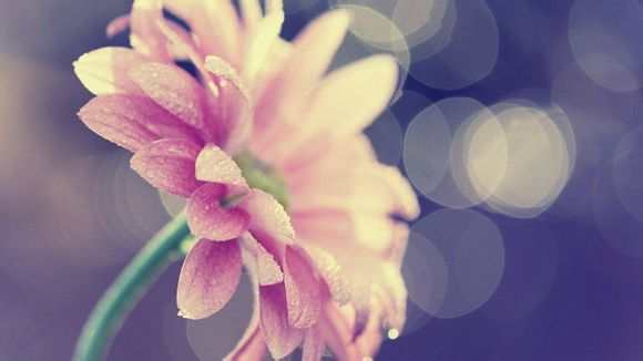 辽宁2021旅游数据统计情况