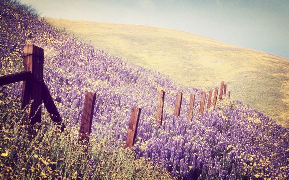 埃及发达不发达