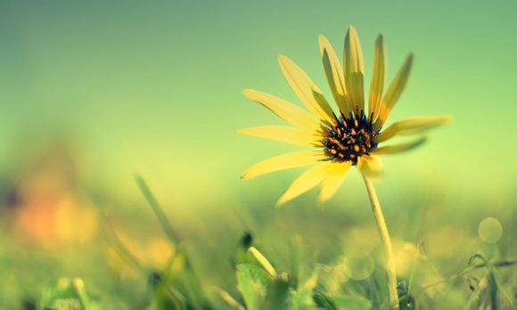 冬天密云哪里好玩一日游