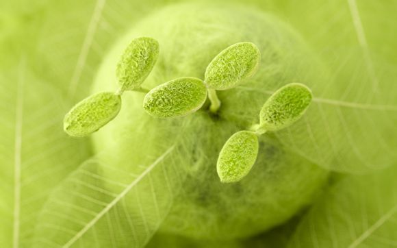 舟山有哪些旅游景点免费