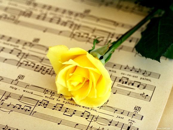 成都一共有多少个万达广场