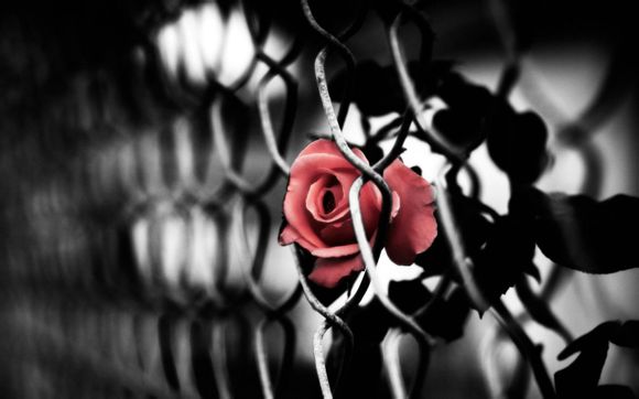 三月份去贵州好玩吗