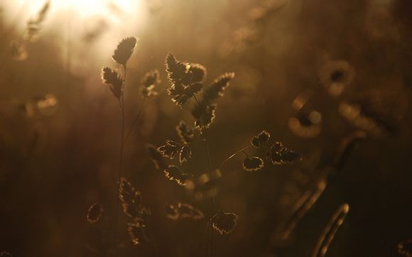 巴西里约热内卢地址