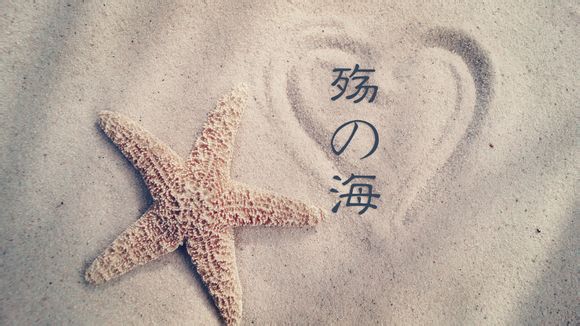 宝应好玩的地方大全介绍