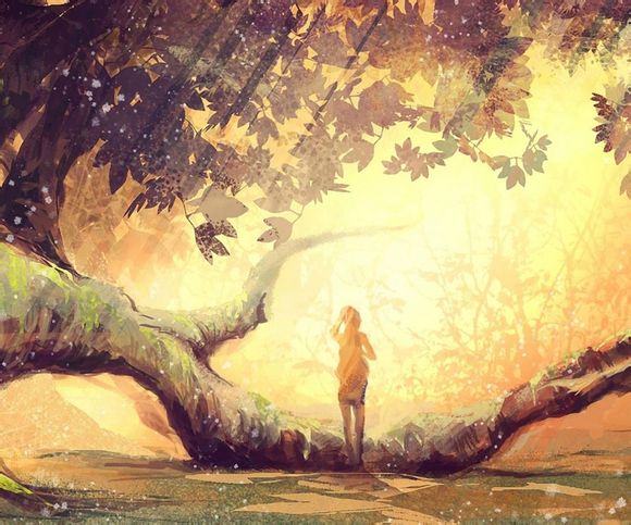 世界之窗周边游