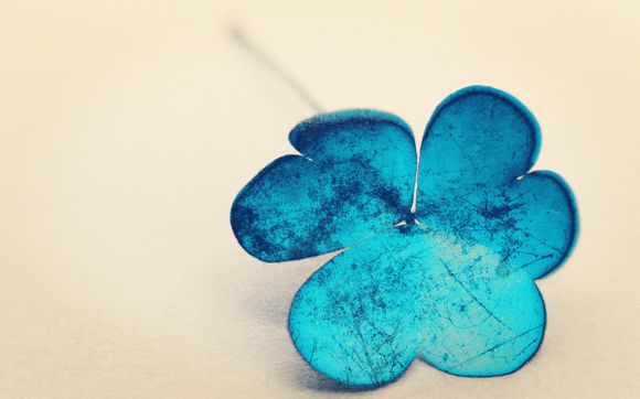 东极岛夜晚海里可以看什么