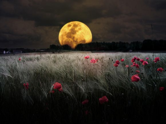 乌镇晚上几点以后免费