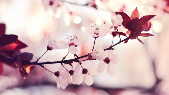 亲子活动有哪些游戏一家四口