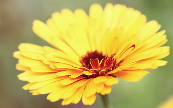 唐山地震到底是几级