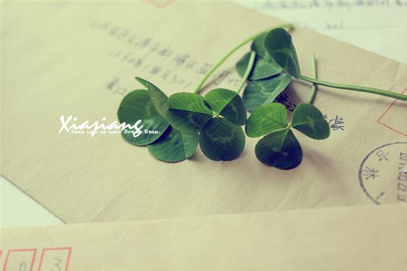 苏州有免费的景点推荐