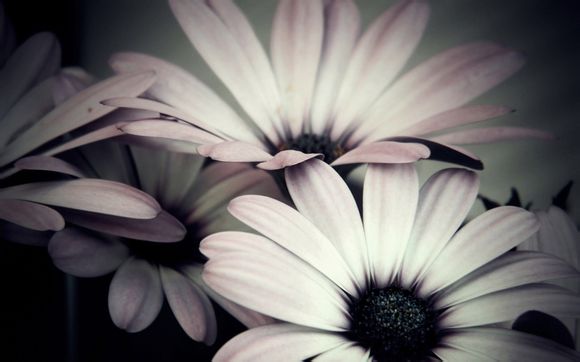 咸宁温泉泡温泉的地方