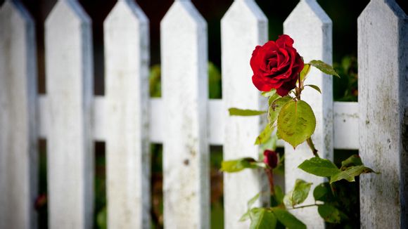 德国英国地理位置