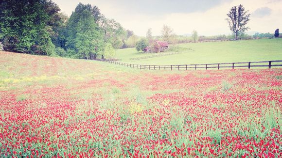 新疆有什么好玩地方